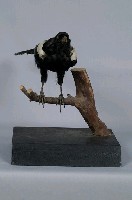 喜鵲藏品圖，第4張
